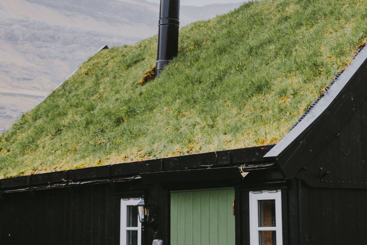 Text: Green Roof Cost | Background Image: House with Green Roof