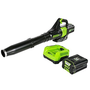 Greenworks Pro 80V (145 MPH / 580 CFM) Brushless Cordless Axial Leaf Blower, 2.5Ah Battery and Charger Included BL80L2510