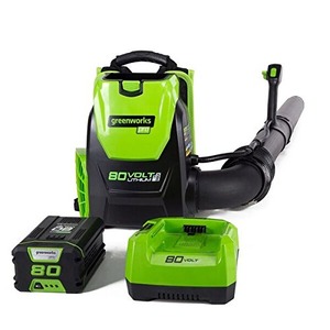 reenworks Pro 80V (180 MPH / 610 CFM) Cordless Backpack Leaf Blower, 2.5Ah Battery and Charger Included BPB80L2510