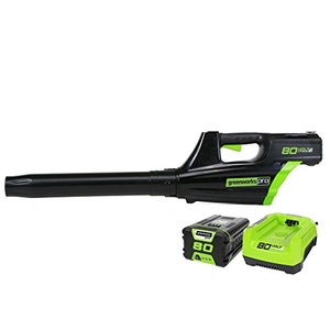 Greenworks Pro 80V (125 MPH / 500 CFM) Cordless Axial Leaf Blower, 2.0Ah Battery and Charger Included GBL80300