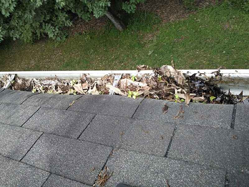 Gutter needed to be cleaned
