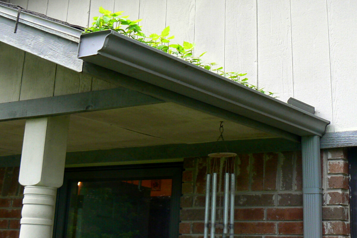 Text: Benefits of Gutter | Background Image; Small Plants in Rain Pipe