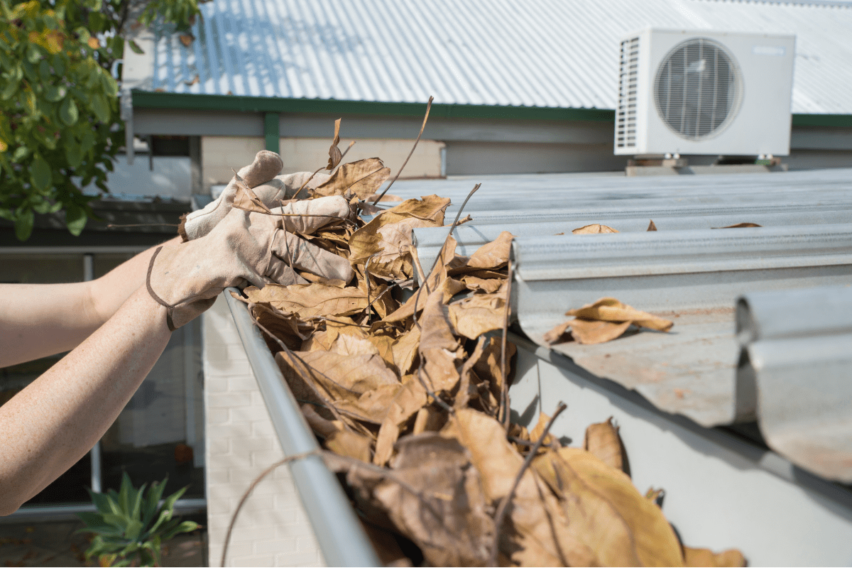Text: Gutter Guard Maintenance | Background Image: Gutter Guard full with leaves