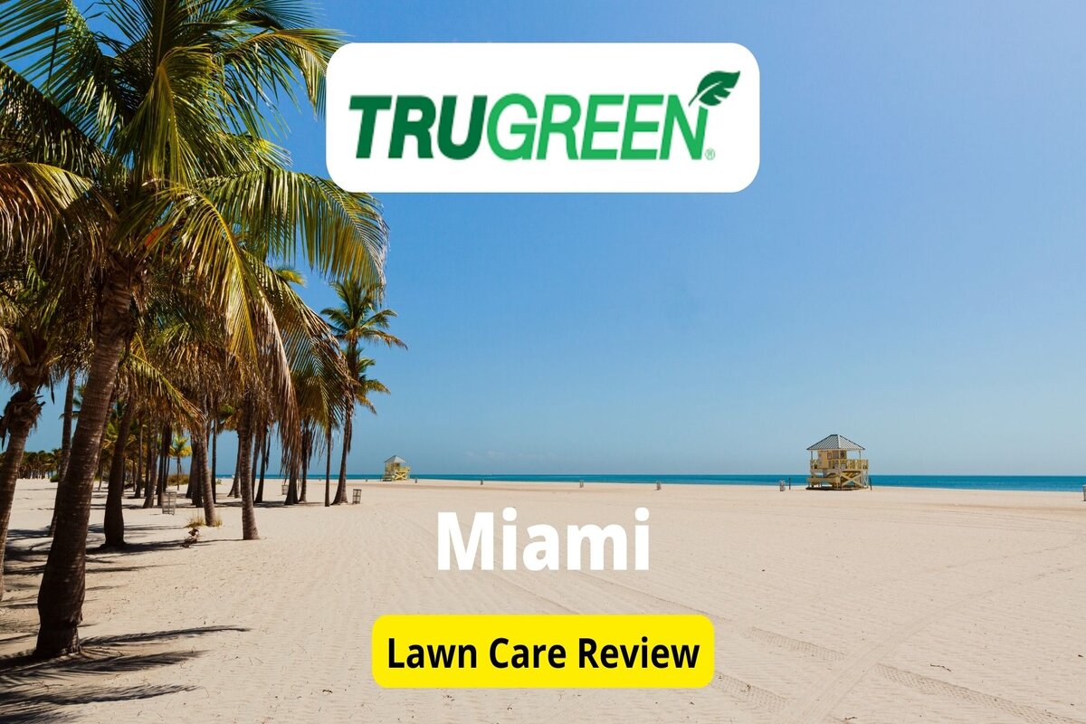 Text: Trugreen in Miami | Background Image" Plam Trees on Miami Beach
