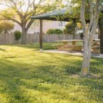 Is Weed and Feed Bad for Your Lawn?