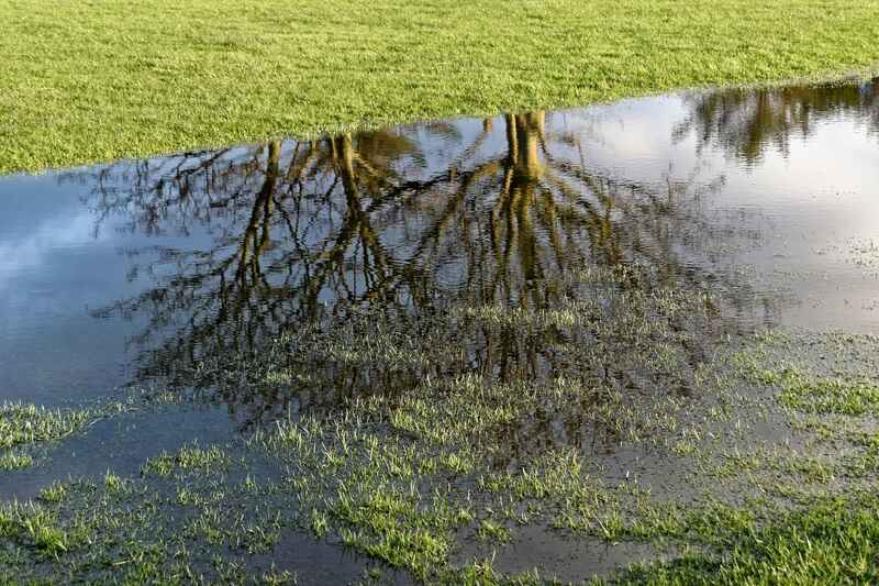 flooded grass
