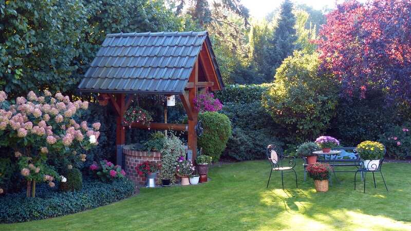 lawn-flower-cottage-backyard-garden-flowers