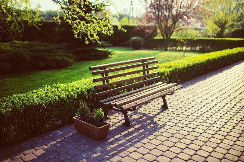 Privet