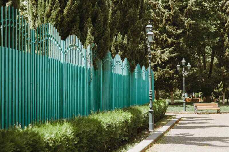 How to Choose the Best Fence for Your Dog Lawnstarter