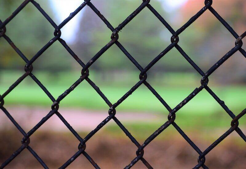 Chain link