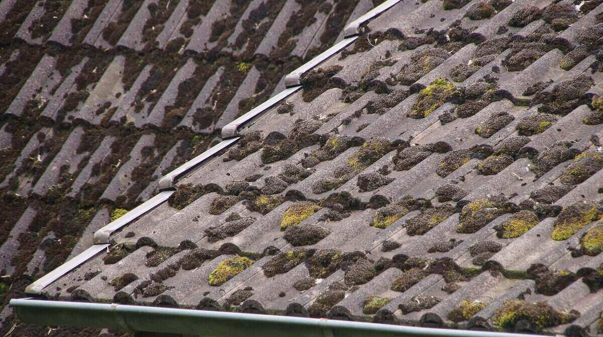 Damage Roof