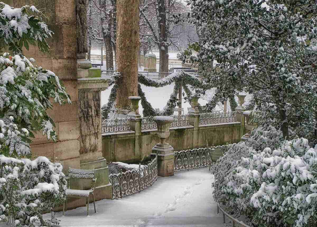 winter garden