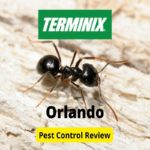 Terminix Pest Control in Orlando Review