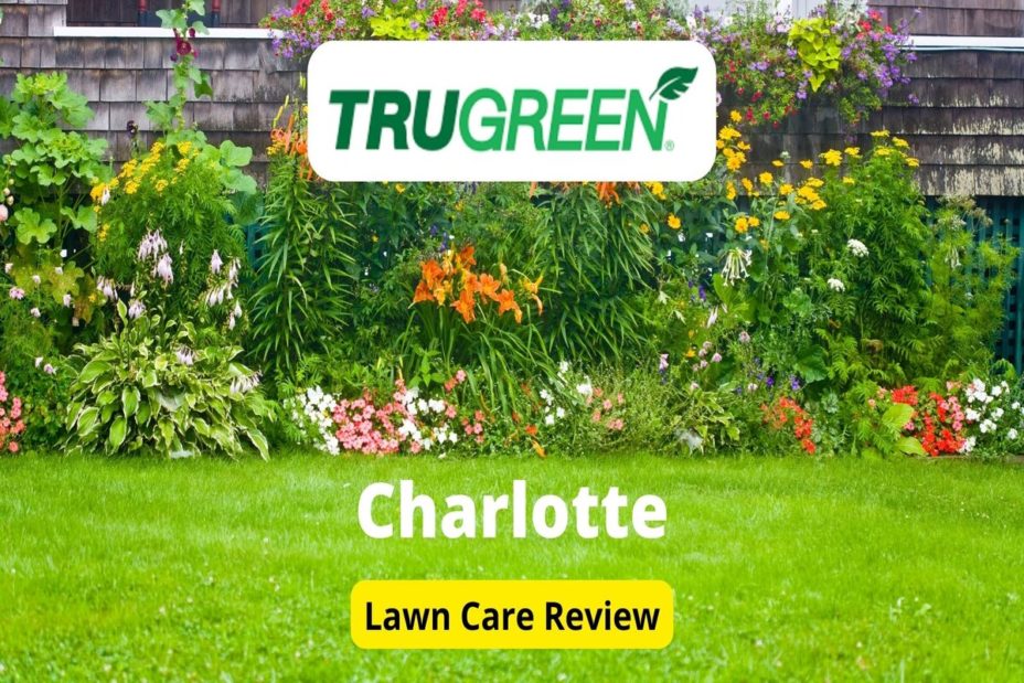 trugreen-lawn-care-in-charlotte-review