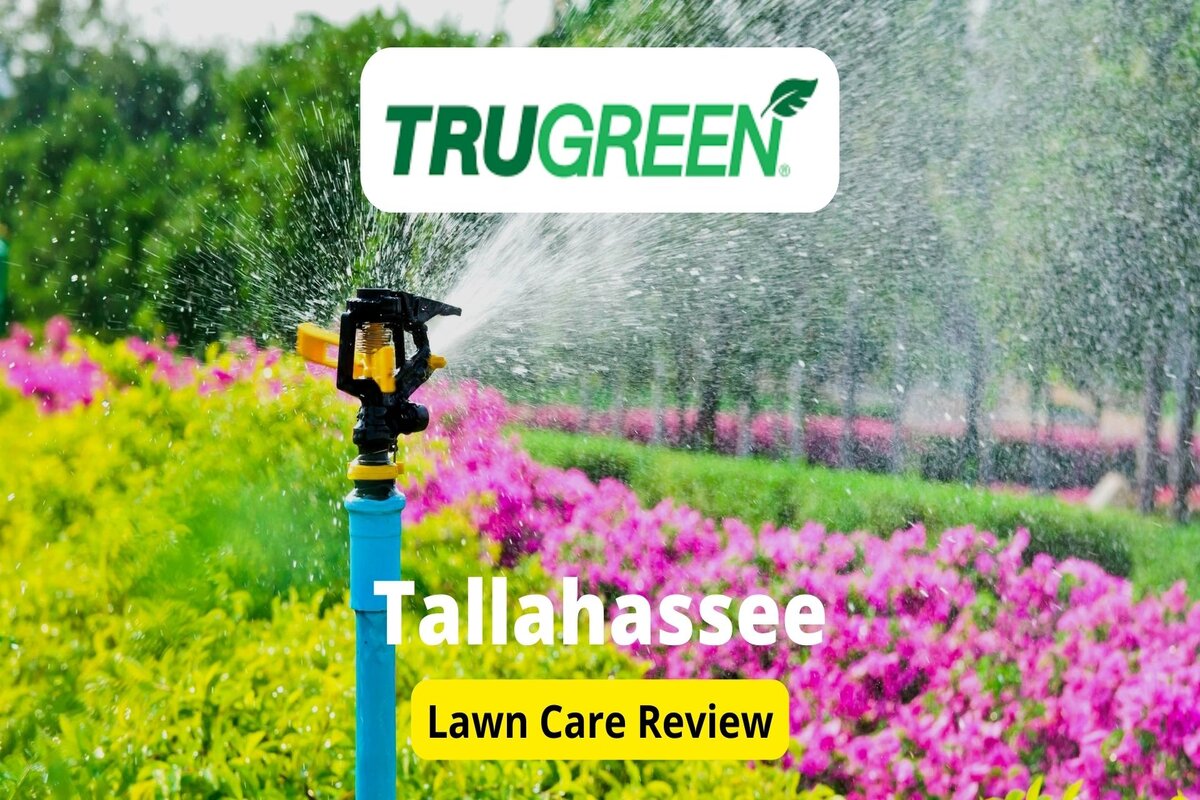 TruGreen Lawn Care in Tallahassee Review Lawnstarter