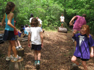 Stump Activity 9 Tree Stump Ideas to Elevate Your Yard