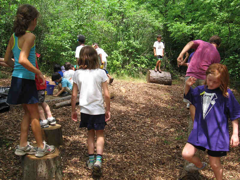kids playing on tree stump