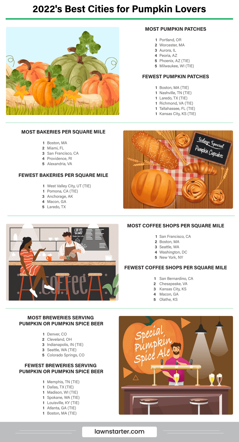 Infographic showing the Best Cities for Pumpkin Lovers, a ranking based on access to pumpkin patches, community interest, events, and more