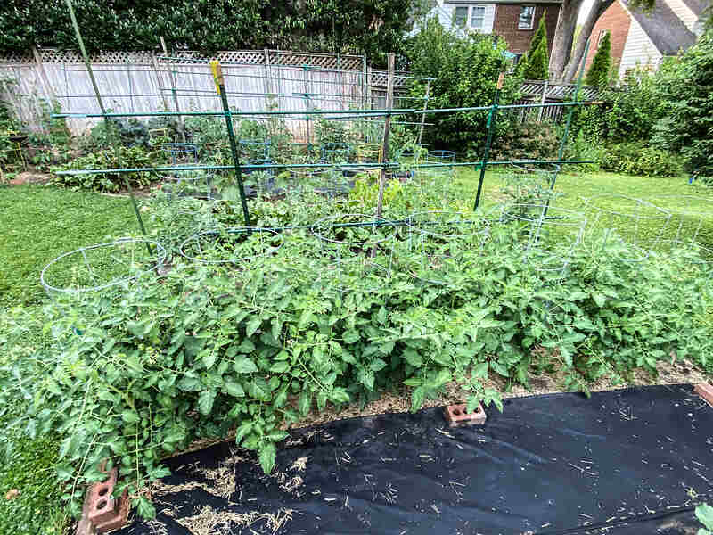 weed barrier