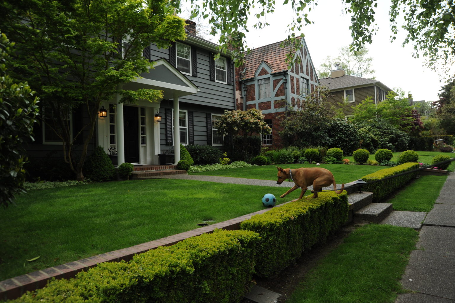 Guide to Eco-Friendly Lawn Care