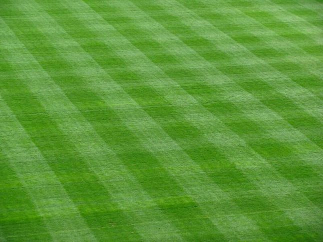 How to Add Stripes to Your Lawn
