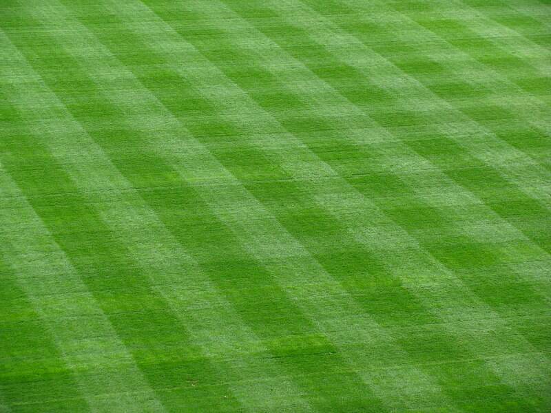 A striped lawn