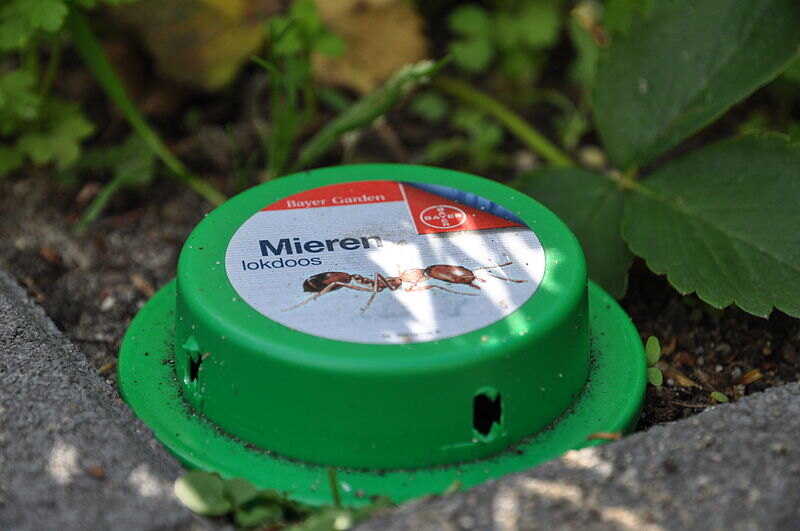 Ant Bait Box