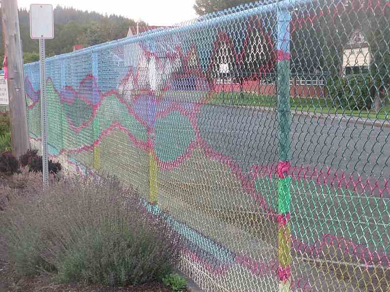 color chain link fence