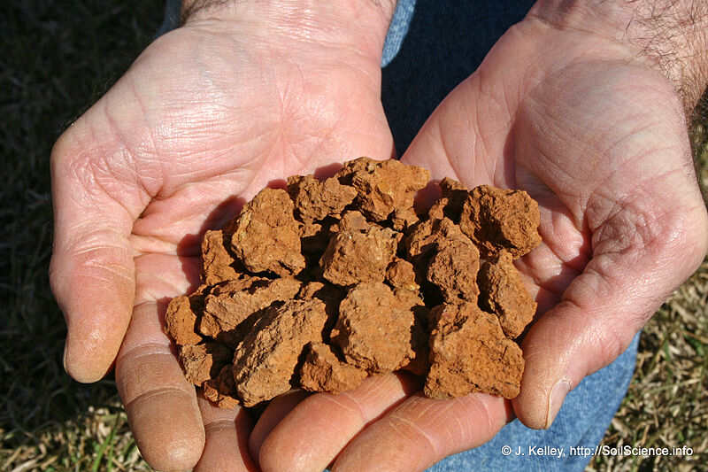 soil