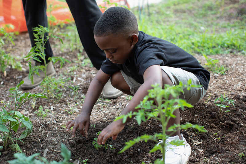 child in a garden