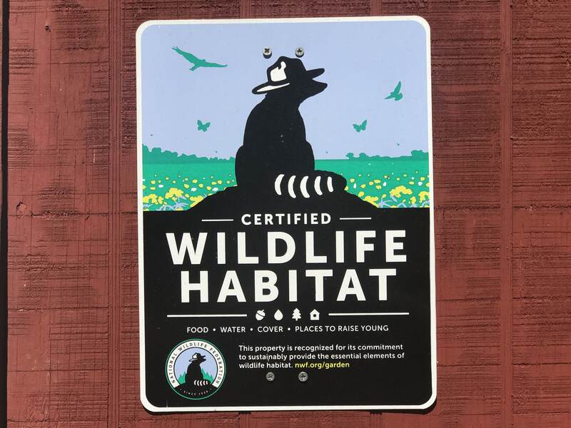 Certified_wildlife_habitat