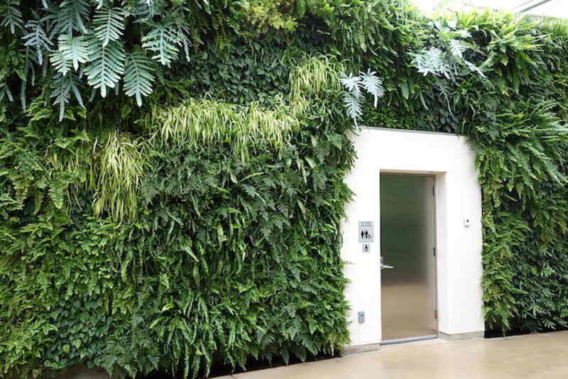 A beautiful living wall greenery of a house