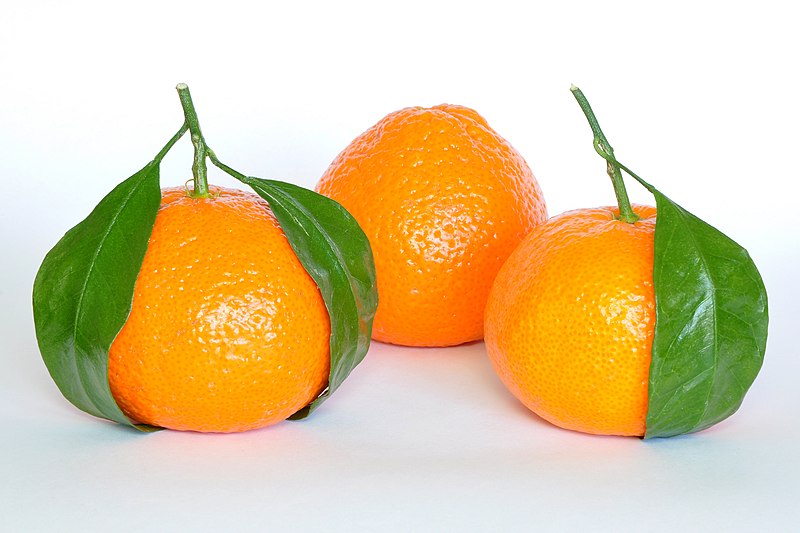 mandarin oranges