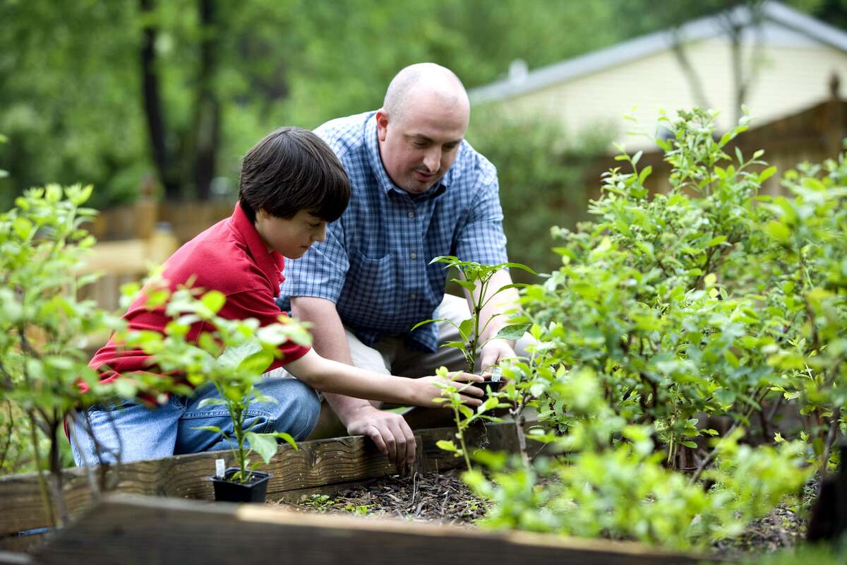 man gardening with a child