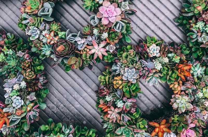 A beautifully decorated succulent wreath