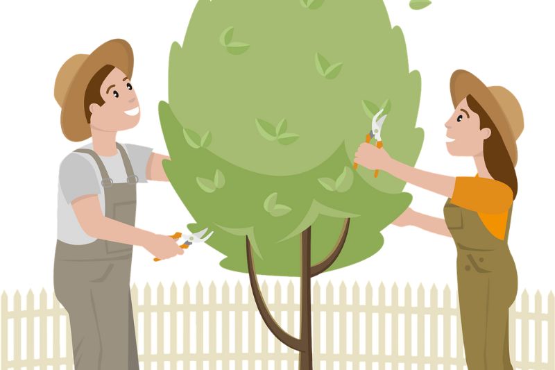 Text: Tree trimming illustration | Image: Boy and Girl trimming a tree illustration