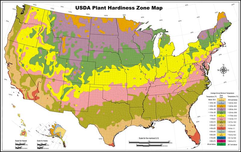 USDA Hardiness Zone Map