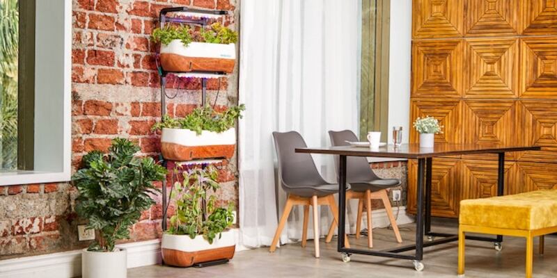 A vertical smart garden of a house