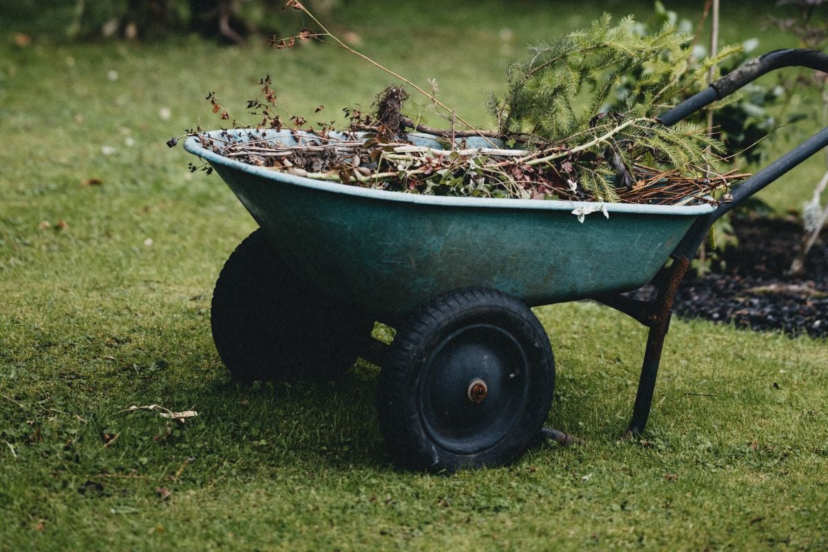 Text: Yard Cleanup Cost | Background Image: Wheelbarrow in yard