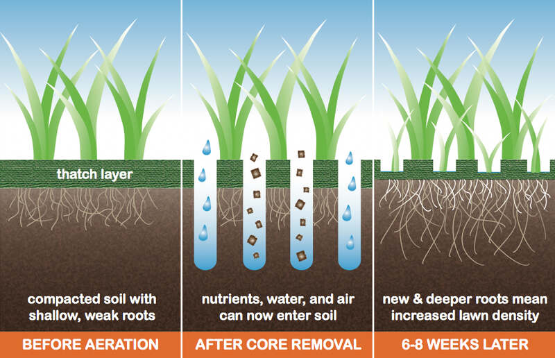 a illustraton of aeration