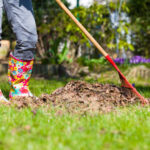How Much Does Yard Cleanup Cost in 2024?
