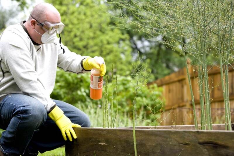 A man using liquid fertilizer in his lawn