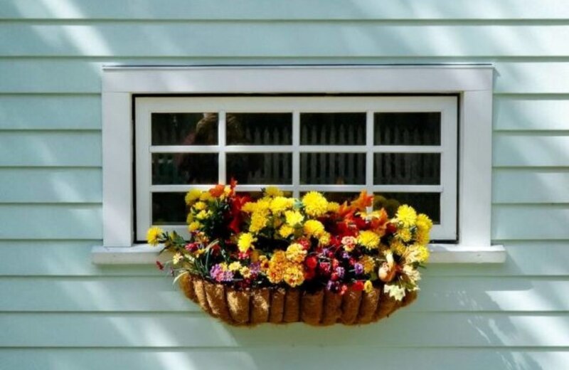A window box with beautiful flowers