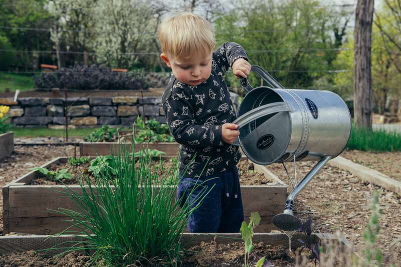 child watering a plant