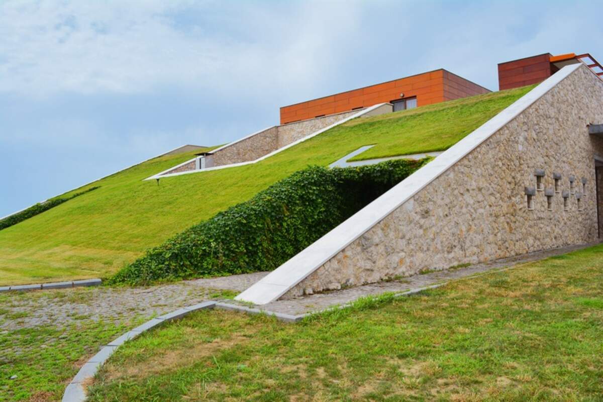 A slope being seeding with grass