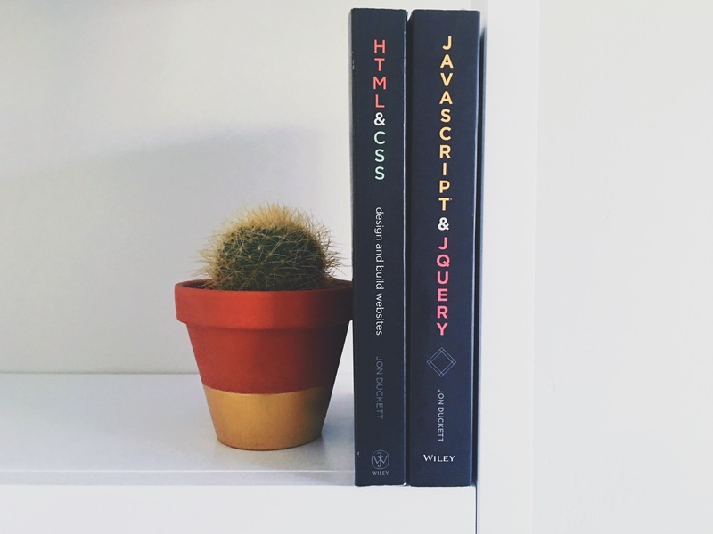 A bookshelf with a plant placed along with it.