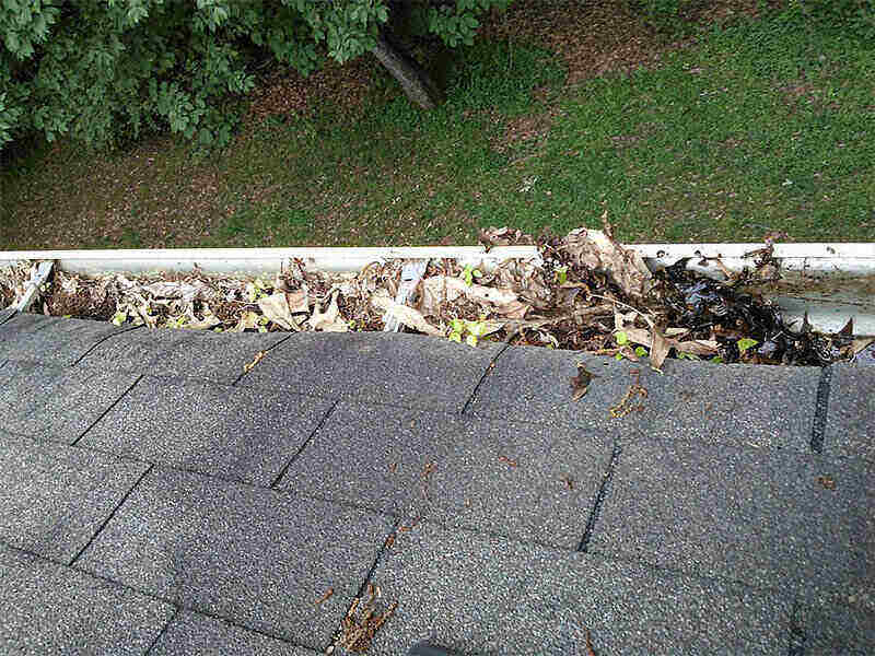 Debris fills a gutter