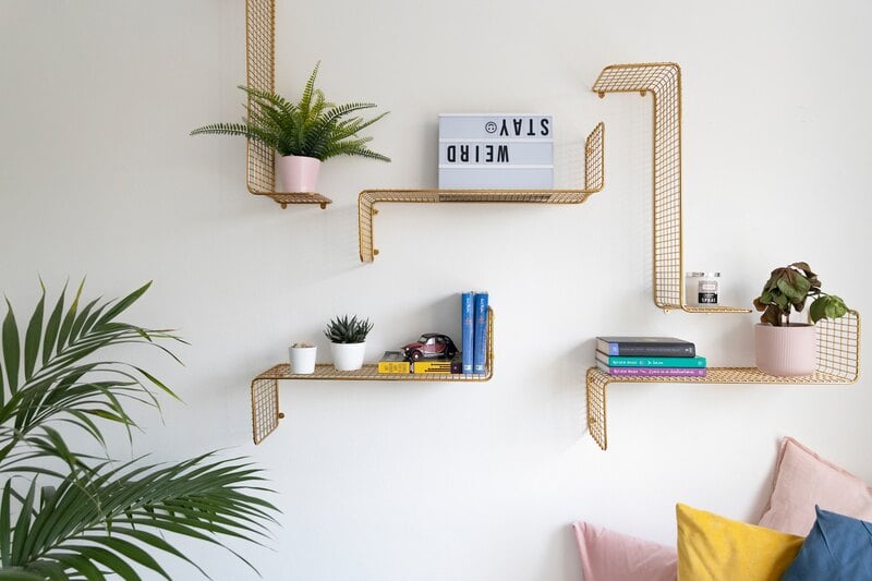 A floating wall shelf with plants placed along with it
