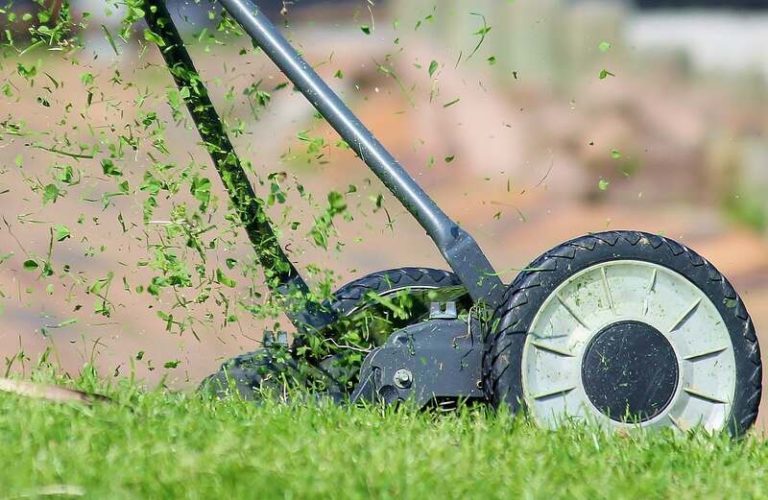 Vibrant How Long After Fertilizing Can I Mow Capture for Mobile Vibrant How Long After Fertilizing Can I Mow Capture for Mobile