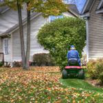 How to Improve Your Lawn With Mulch